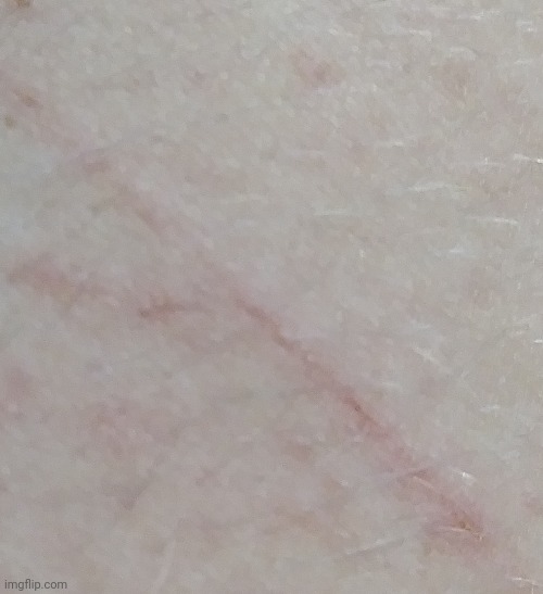 my cut looks like a y | made w/ Imgflip meme maker