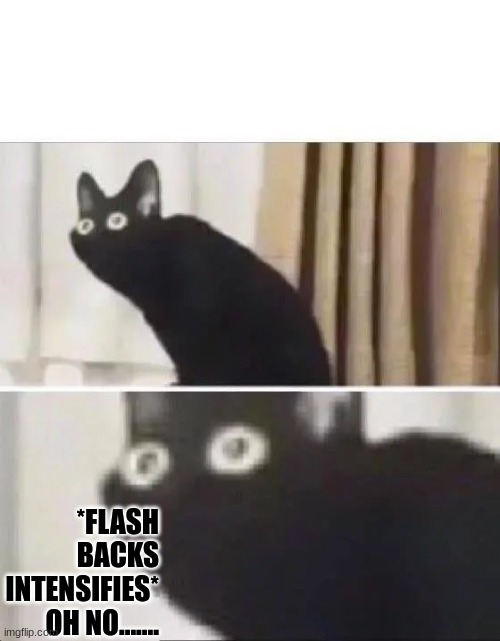 Oh No Black Cat | *FLASH BACKS INTENSIFIES* OH NO....... | image tagged in oh no black cat | made w/ Imgflip meme maker