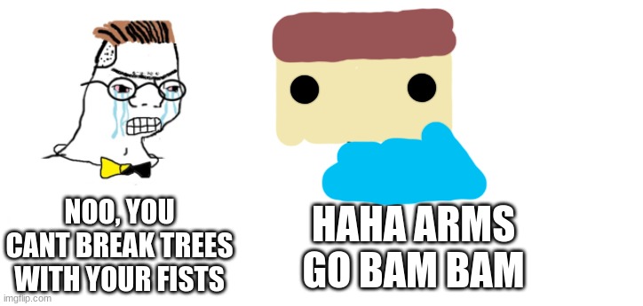 arms go bam bam | NOO, YOU CANT BREAK TREES WITH YOUR FISTS; HAHA ARMS GO BAM BAM | image tagged in nooo haha go brrr | made w/ Imgflip meme maker