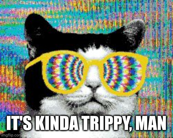 psychedelic cat | IT'S KINDA TRIPPY, MAN | image tagged in psychedelic cat | made w/ Imgflip meme maker