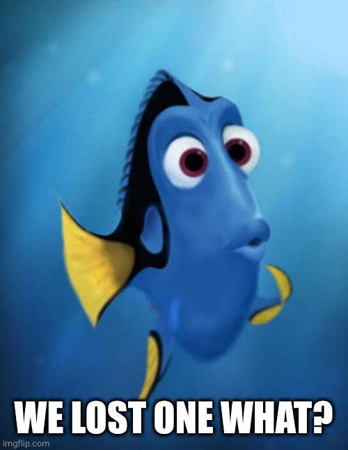 Dory | WE LOST ONE WHAT? | image tagged in dory | made w/ Imgflip meme maker