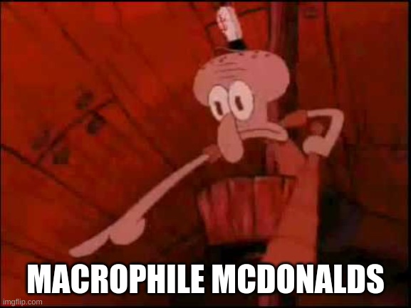 Squidward pointing | MACROPHILE MCDONALDS | image tagged in squidward pointing | made w/ Imgflip meme maker