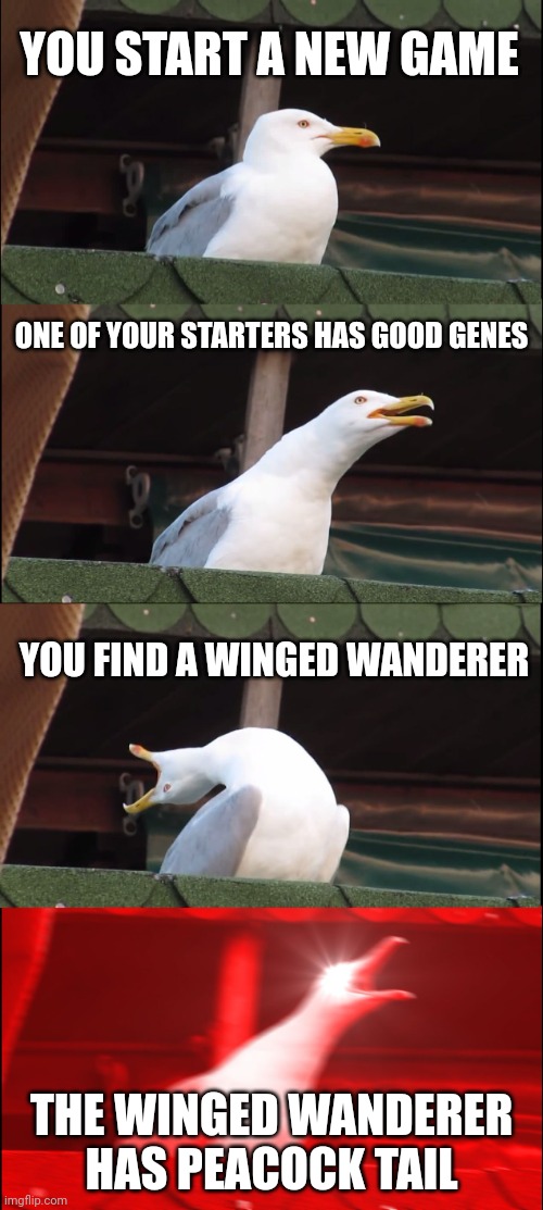 This is old | YOU START A NEW GAME; ONE OF YOUR STARTERS HAS GOOD GENES; YOU FIND A WINGED WANDERER; THE WINGED WANDERER HAS PEACOCK TAIL | image tagged in memes,inhaling seagull | made w/ Imgflip meme maker
