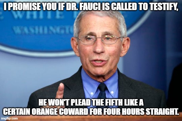 Dr. Fauci | I PROMISE YOU IF DR. FAUCI IS CALLED TO TESTIFY, HE WON'T PLEAD THE FIFTH LIKE A CERTAIN ORANGE COWARD FOR FOUR HOURS STRAIGHT. | image tagged in dr fauci | made w/ Imgflip meme maker