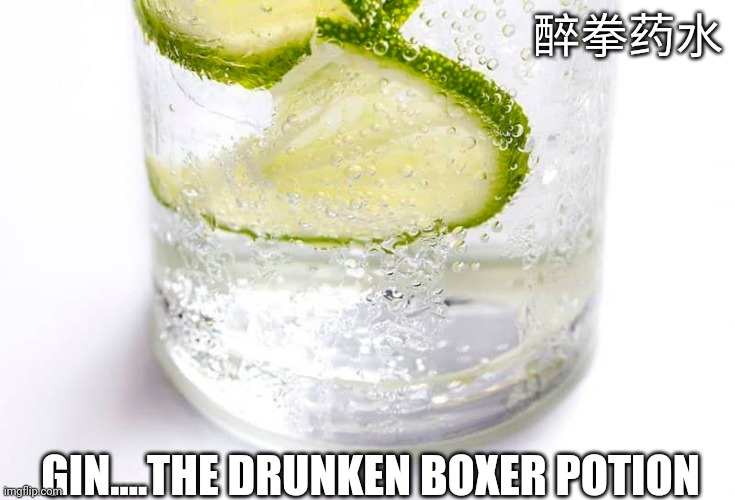 Drunken Boxing | 醉拳药水; GIN....THE DRUNKEN BOXER POTION | image tagged in gin,jackie chan,drunken boxing,booze,fighting,fight club | made w/ Imgflip meme maker