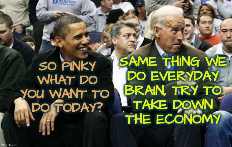Pinky and the Brain | SAME THING WE
DO EVERYDAY
BRAIN, TRY TO
TAKE DOWN
THE ECONOMY; SO PINKY WHAT DO YOU WANT TO 
DO TODAY? | image tagged in joe and barrack,memes,funny,obama,joe biden,democrats | made w/ Imgflip meme maker