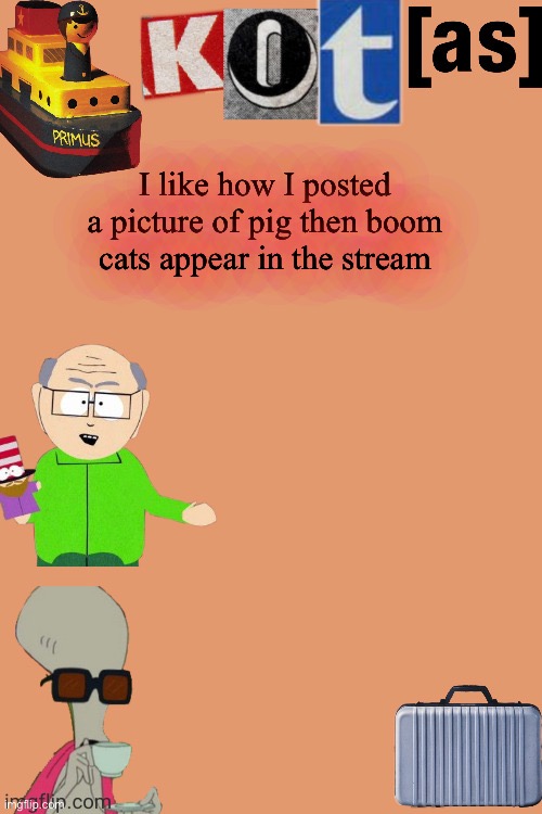 I like how I posted a picture of pig then boom cats appear in the stream | image tagged in kot annoucement template thx -kenneth- | made w/ Imgflip meme maker