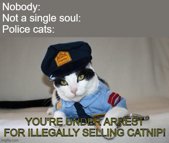 i think catnip is somewhat addictive for cats | Nobody: 
Not a single soul:
Police cats:; YOU'RE UNDER ARREST FOR ILLEGALLY SELLING CATNIP! | image tagged in police cat,cat,memes,nobody absolutely no one,dank memes,sus | made w/ Imgflip meme maker