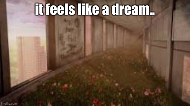 it feels like a dream.. | made w/ Imgflip meme maker