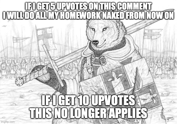 it won't really matter but still guys, dont do it | IF I GET 5 UPVOTES ON THIS COMMENT I WILL DO ALL MY HOMEWORK NAKED FROM NOW ON; IF I GET 10 UPVOTES THIS NO LONGER APPLIES | image tagged in fursader | made w/ Imgflip meme maker