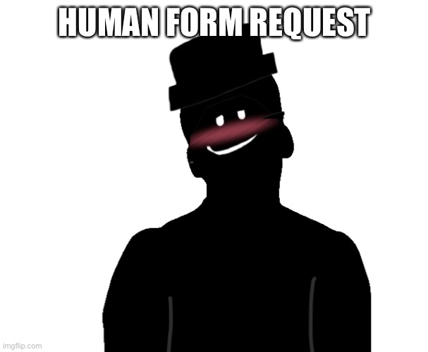 Puddle’s request | HUMAN FORM REQUEST | image tagged in request,human | made w/ Imgflip meme maker