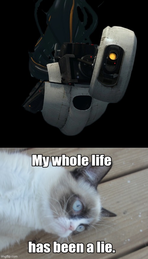 Her eye isn’t perfectly in the middle | image tagged in portal,portal 2,glados | made w/ Imgflip meme maker