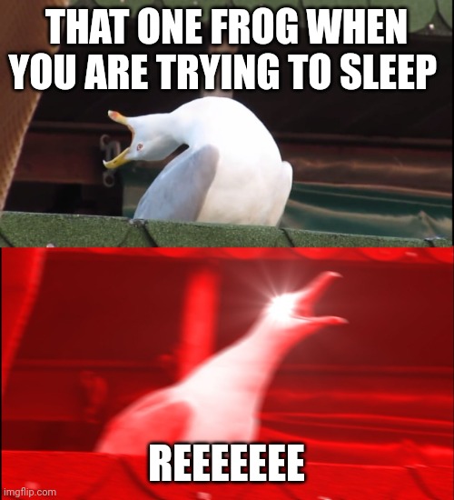 Screaming bird | THAT ONE FROG WHEN YOU ARE TRYING TO SLEEP; REEEEEEE | image tagged in screaming bird | made w/ Imgflip meme maker