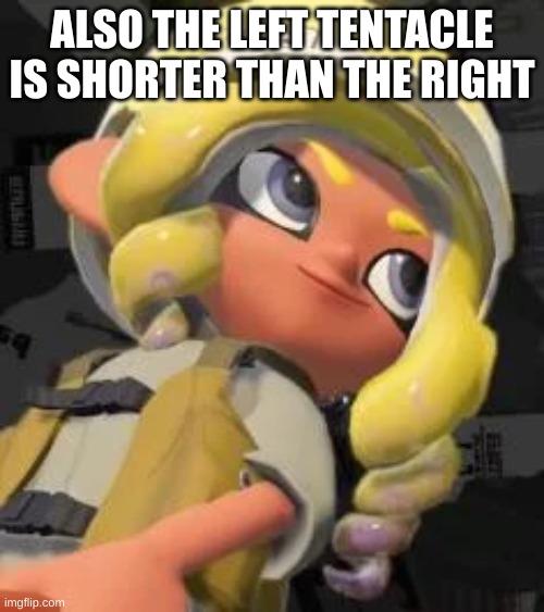 kinda like the inverted braid style | ALSO THE LEFT TENTACLE IS SHORTER THAN THE RIGHT | image tagged in splatoon 3 | made w/ Imgflip meme maker