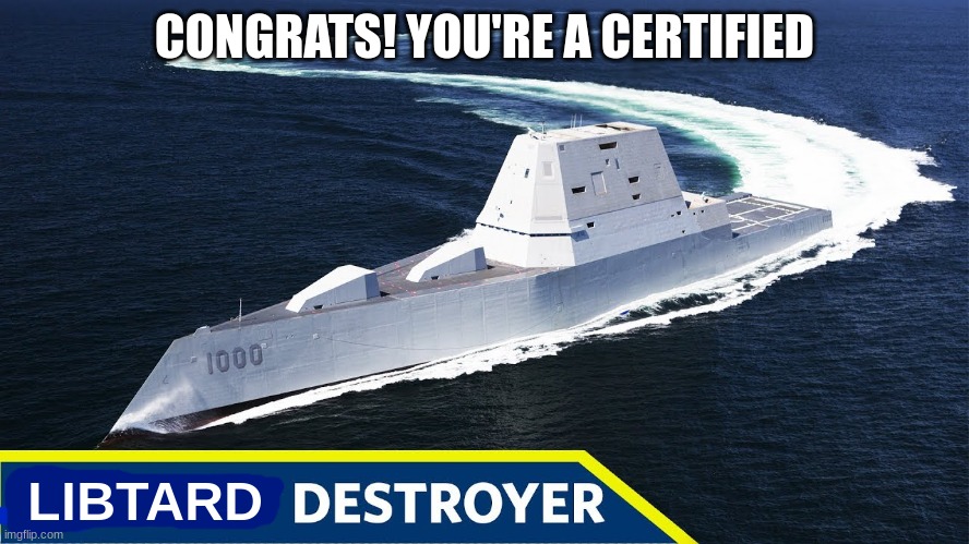 Zumwalt destroyer | CONGRATS! YOU'RE A CERTIFIED LIBTARD | image tagged in zumwalt destroyer | made w/ Imgflip meme maker