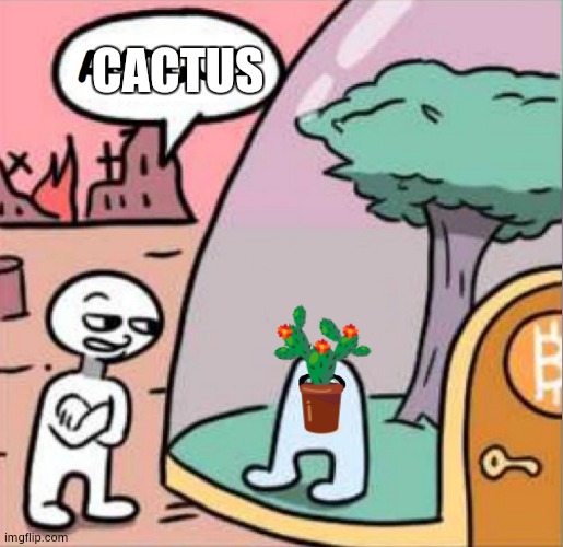 amogus | CACTUS | image tagged in amogus,cactus | made w/ Imgflip meme maker