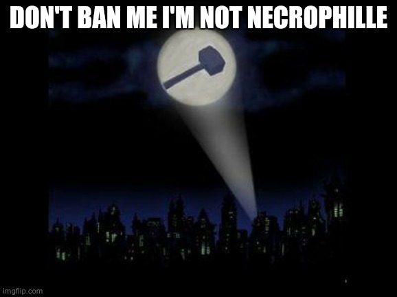 Ban hammer | DON'T BAN ME I'M NOT NECROPHILLE | image tagged in ban hammer | made w/ Imgflip meme maker