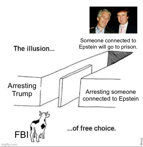 Seems like a win/win scenario here. | Someone connected to Epstein will go to prison. Arresting Trump; Arresting someone connected to Epstein; FBI | image tagged in illusion of free choice,donald trump,fbi,jeffery epstein | made w/ Imgflip meme maker