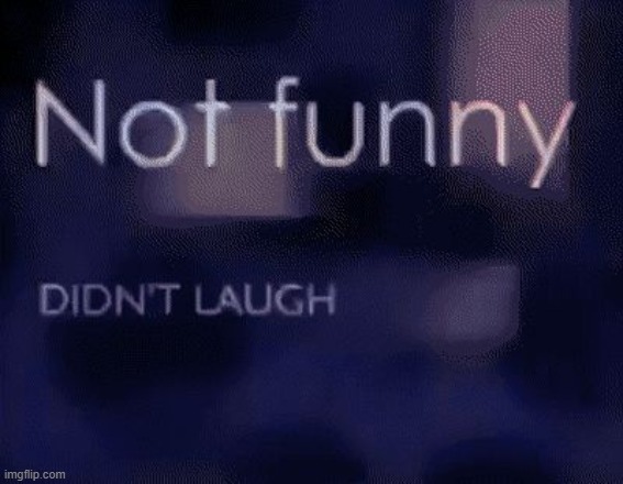 Not funny didn’t laugh | image tagged in not funny didn t laugh | made w/ Imgflip meme maker