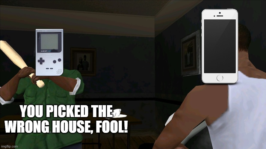 You picked the wrong house fool | YOU PICKED THE WRONG HOUSE, FOOL! | image tagged in you picked the wrong house fool | made w/ Imgflip meme maker