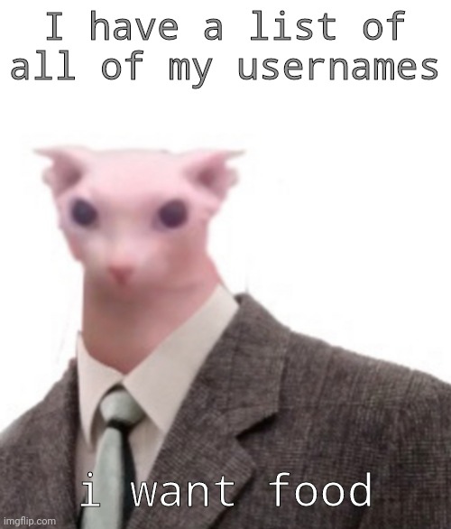 bingus | I have a list of all of my usernames; i want food | image tagged in bingus | made w/ Imgflip meme maker