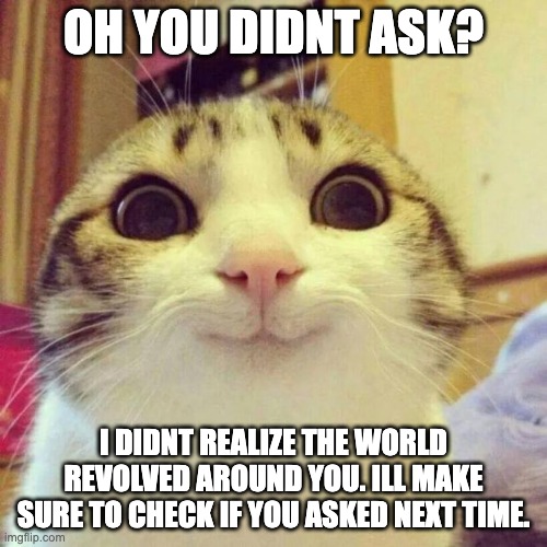 rjioyrtebeerb | OH YOU DIDNT ASK? I DIDNT REALIZE THE WORLD REVOLVED AROUND YOU. ILL MAKE SURE TO CHECK IF YOU ASKED NEXT TIME. | image tagged in memes,smiling cat | made w/ Imgflip meme maker