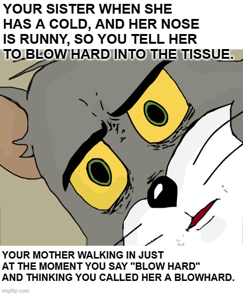 Careful What You Say In Front Of Your Mother | YOUR SISTER WHEN SHE HAS A COLD, AND HER NOSE IS RUNNY, SO YOU TELL HER TO BLOW HARD INTO THE TISSUE. YOUR MOTHER WALKING IN JUST AT THE MOMENT YOU SAY "BLOW HARD" AND THINKING YOU CALLED HER A BLOWHARD. | image tagged in memes,unsettled tom,humor,funny,lol,funny memes | made w/ Imgflip meme maker