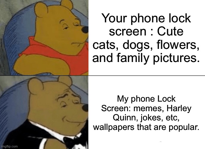 Your Phone Lockscreen Vs Mine Meme | Your phone lock screen : Cute cats, dogs, flowers, and family pictures. My phone Lock Screen: memes, Harley Quinn, jokes, etc, wallpapers that are popular. | image tagged in memes,tuxedo winnie the pooh | made w/ Imgflip meme maker