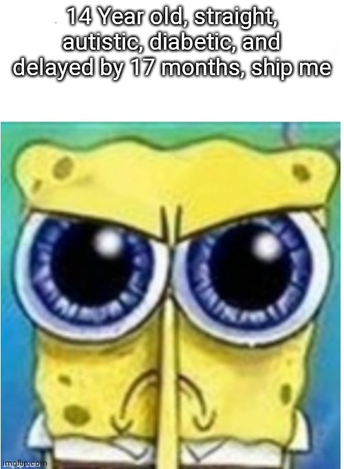 Plz | 14 Year old, straight, autistic, diabetic, and delayed by 17 months, ship me | image tagged in angry spongebob blank,single,msmg | made w/ Imgflip meme maker