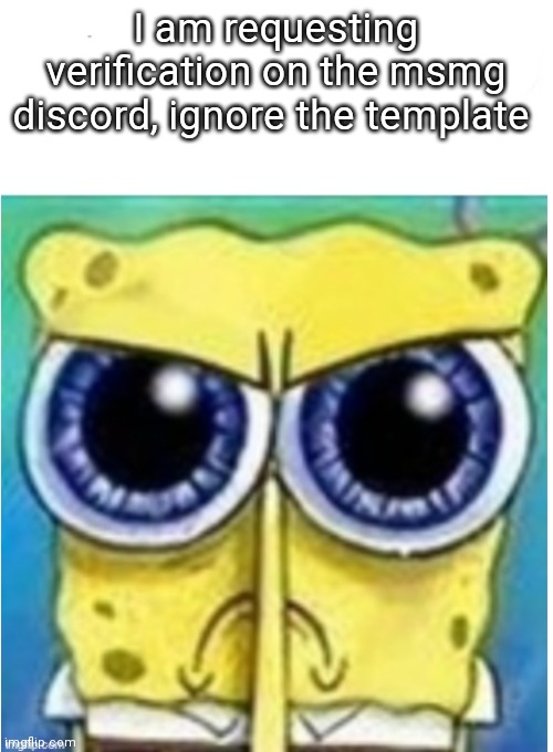 Angry spongebob blank | I am requesting verification on the msmg discord, ignore the template | image tagged in angry spongebob blank,help me,discord,msmg | made w/ Imgflip meme maker