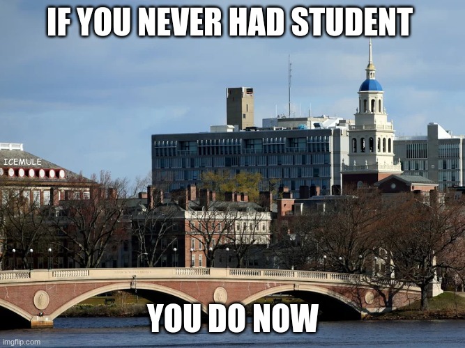 loans | IF YOU NEVER HAD STUDENT; ICEMULE; YOU DO NOW | image tagged in student loans | made w/ Imgflip meme maker