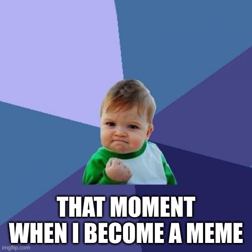 Success Kid Meme | THAT MOMENT WHEN I BECOME A MEME | image tagged in memes,success kid | made w/ Imgflip meme maker