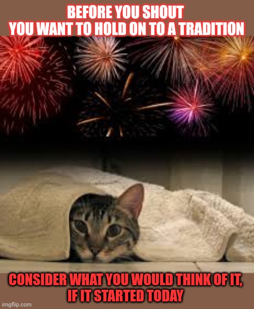 This #lolcat wonders if you'd like a tradition if it started today | BEFORE YOU SHOUT 
YOU WANT TO HOLD ON TO A TRADITION; CONSIDER WHAT YOU WOULD THINK OF IT, 
IF IT STARTED TODAY | image tagged in tradition,traditions,lolcat,think about it | made w/ Imgflip meme maker