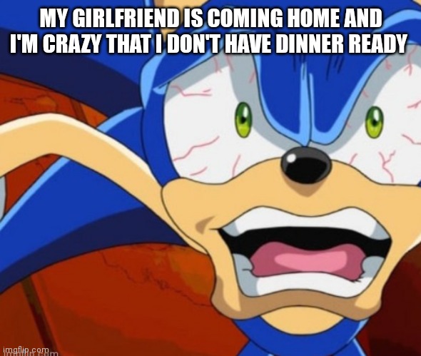 Crazy Sonic | MY GIRLFRIEND IS COMING HOME AND I'M CRAZY THAT I DON'T HAVE DINNER READY | image tagged in funny memes | made w/ Imgflip meme maker