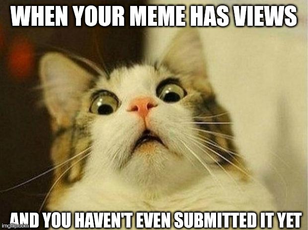 Haunted meme | WHEN YOUR MEME HAS VIEWS; AND YOU HAVEN'T EVEN SUBMITTED IT YET | image tagged in memes,scared cat | made w/ Imgflip meme maker