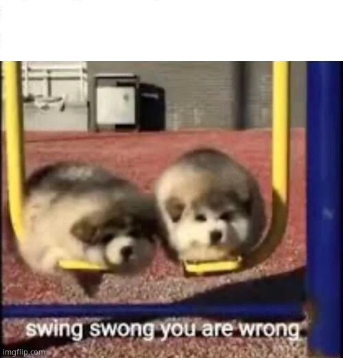 SWING SWONG YOU ARE WRONG | image tagged in swing swong you are wrong | made w/ Imgflip meme maker