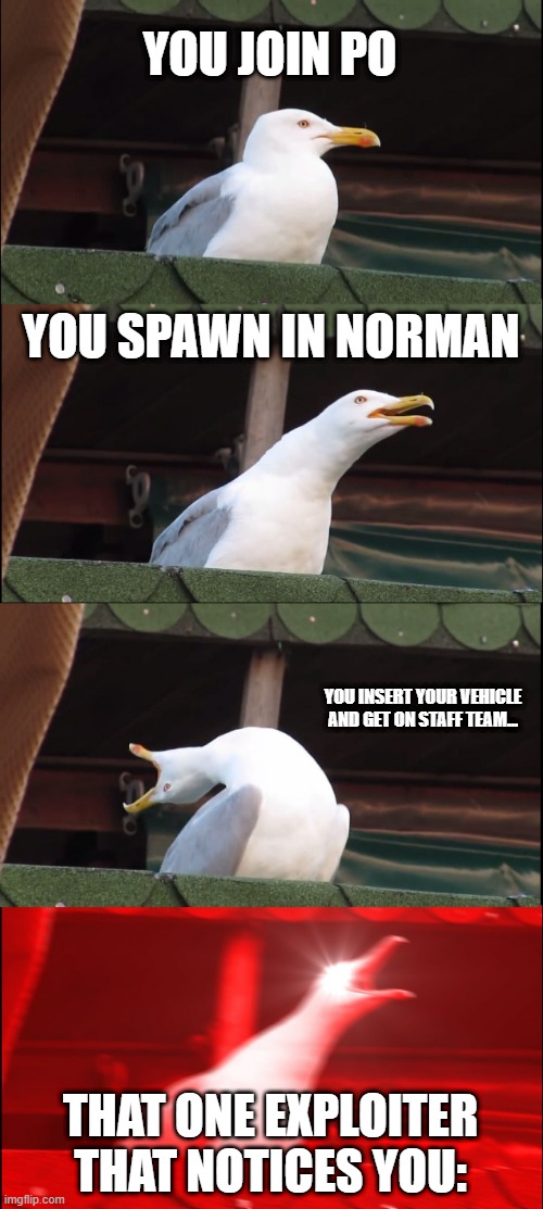 Project oklahoma be like | YOU JOIN PO; YOU SPAWN IN NORMAN; YOU INSERT YOUR VEHICLE AND GET ON STAFF TEAM... THAT ONE EXPLOITER THAT NOTICES YOU: | image tagged in memes,inhaling seagull | made w/ Imgflip meme maker