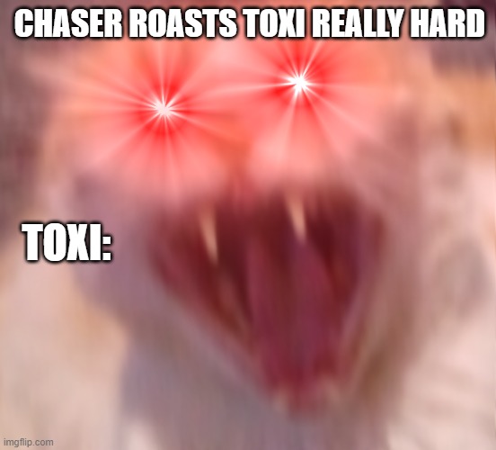 Toxi L lol | CHASER ROASTS TOXI REALLY HARD; TOXI: | image tagged in angry cat | made w/ Imgflip meme maker