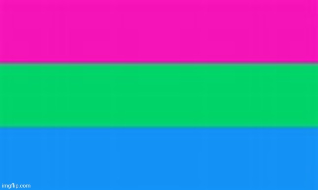 image tagged in poly flag | made w/ Imgflip meme maker