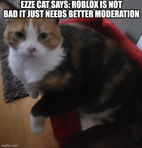 It's true listen to cat | EZZE CAT SAYS: ROBLOX IS NOT BAD IT JUST NEEDS BETTER MODERATION | image tagged in ezze cat | made w/ Imgflip meme maker
