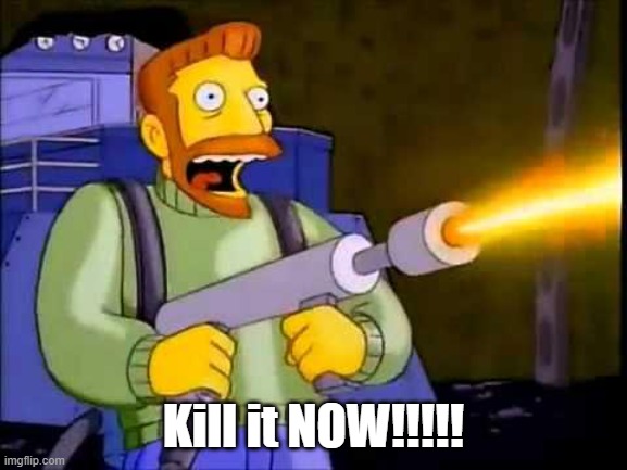 Kill it with fire | Kill it NOW!!!!! | image tagged in kill it with fire | made w/ Imgflip meme maker
