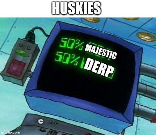 50% Sea 50% Weed | HUSKIES MAJESTIC DERP | image tagged in 50 sea 50 weed | made w/ Imgflip meme maker