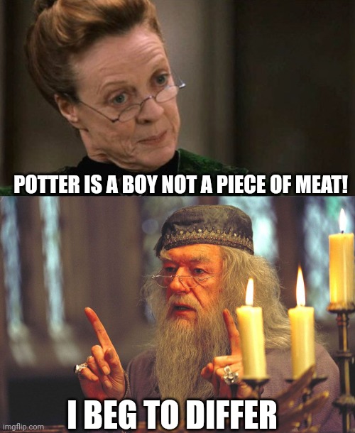 Potter is a boy | POTTER IS A BOY NOT A PIECE OF MEAT! I BEG TO DIFFER | image tagged in dumbledore | made w/ Imgflip meme maker