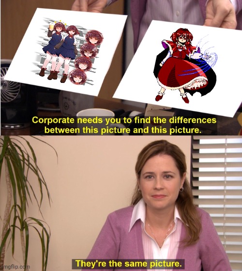 They're The Same Picture | image tagged in memes,touhou,beer | made w/ Imgflip meme maker