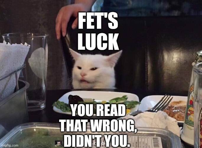 FET'S LUCK; YOU READ THAT WRONG, DIDN'T YOU. | image tagged in smudge the cat | made w/ Imgflip meme maker