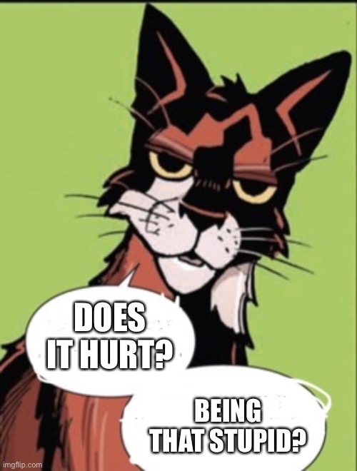 Unamused cat | DOES IT HURT? BEING THAT STUPID? | image tagged in warrior cat meme | made w/ Imgflip meme maker