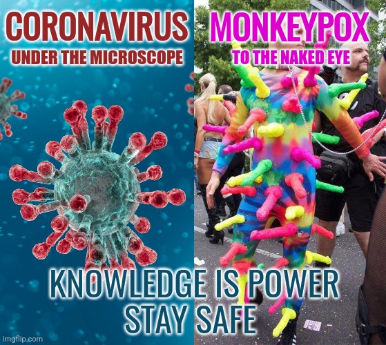 Covid vs Monkeypox | MONKEYPOX; CORONAVIRUS; UNDER THE MICROSCOPE; TO THE NAKED EYE; KNOWLEDGE IS POWER
STAY SAFE | image tagged in memes,funny,progressives,science,covid | made w/ Imgflip meme maker