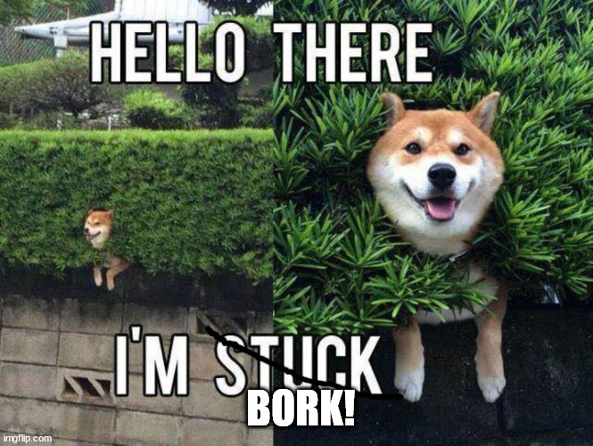 Bork! | BORK! | image tagged in doge,dog,funny dogs,cute dog,doggo | made w/ Imgflip meme maker