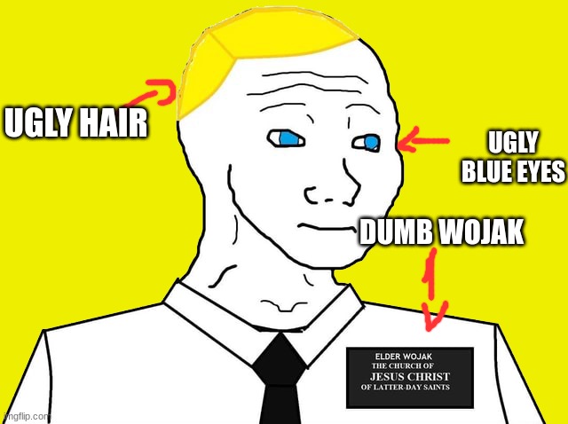 The British moron doesn't need to be the president on this stream, so vote for me. | UGLY HAIR; UGLY BLUE EYES; DUMB WOJAK | image tagged in mormon wojak,parody,attack ad | made w/ Imgflip meme maker