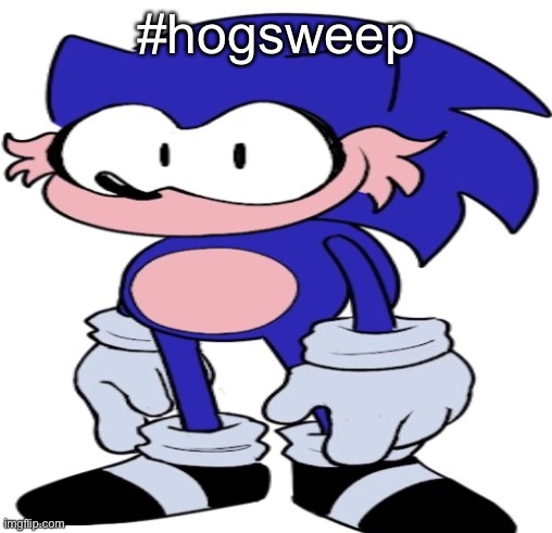 #hogsweep | #hogsweep | image tagged in hogsweep | made w/ Imgflip meme maker